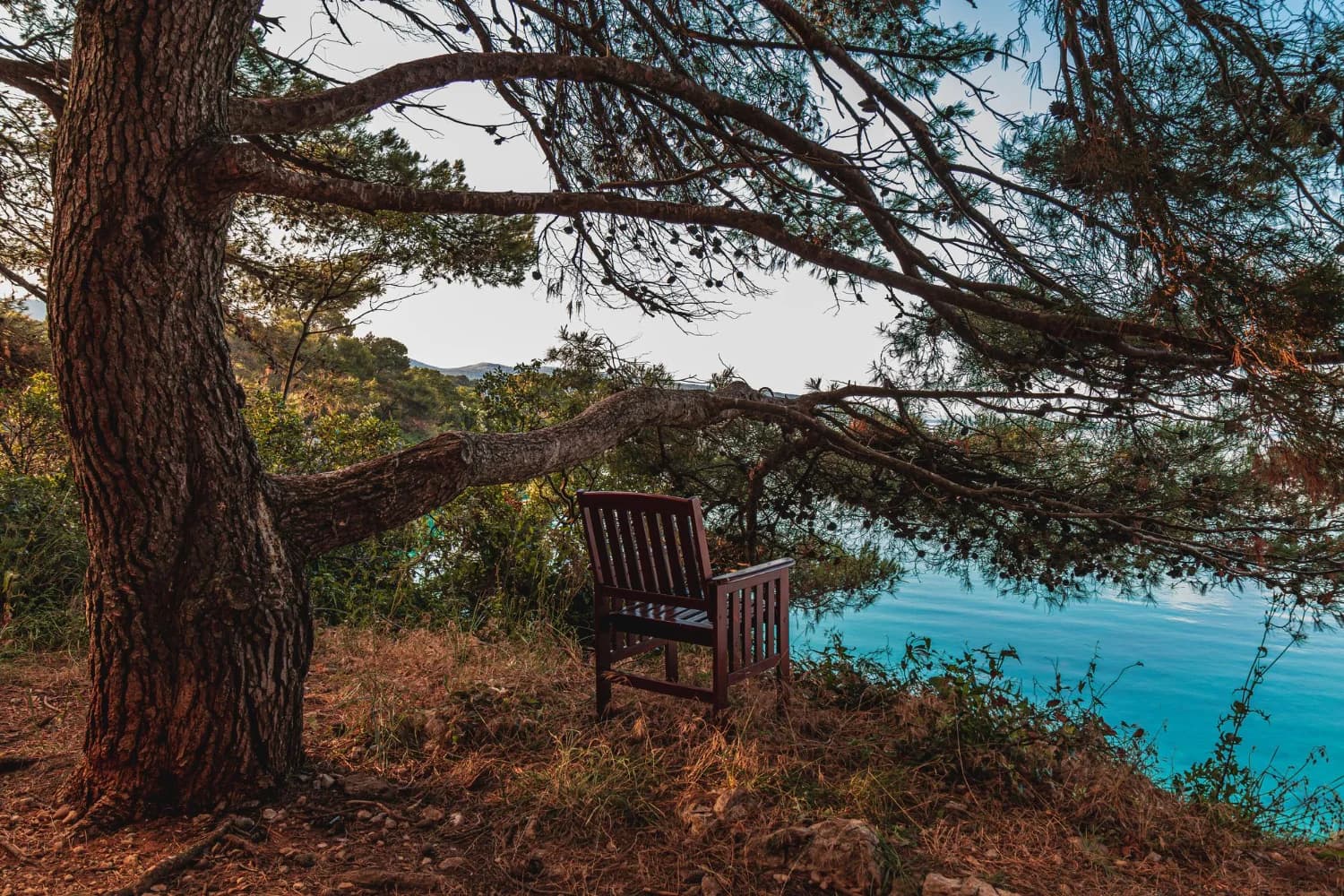krk strand szék fa alatt
