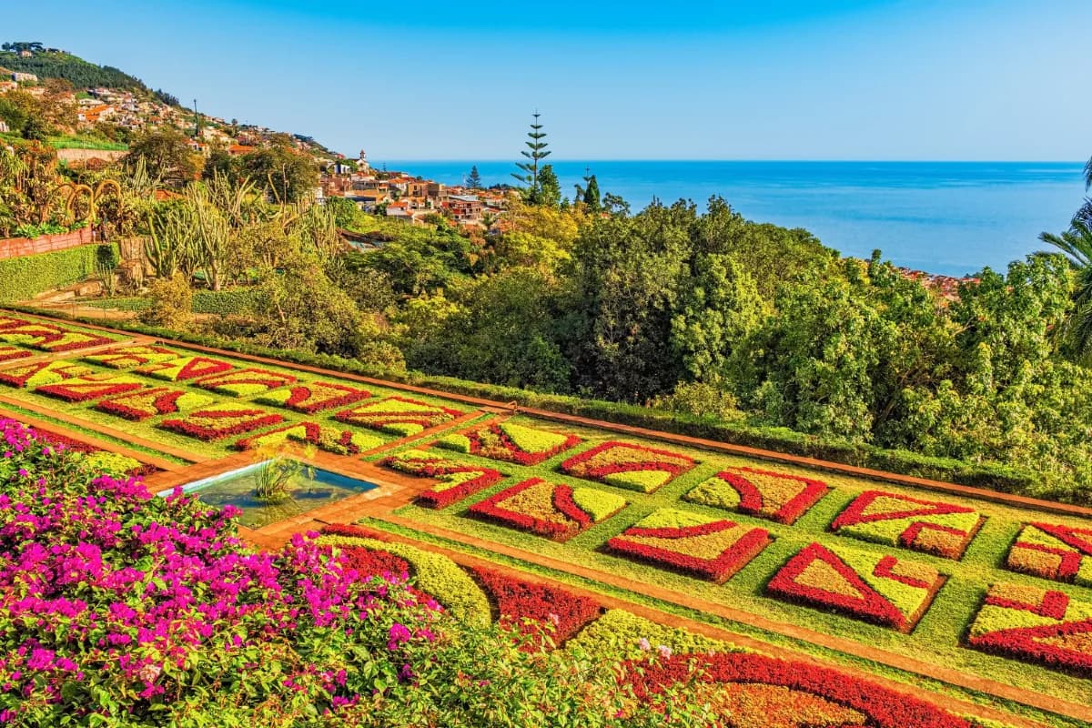 madeira utazás óceán virágzás