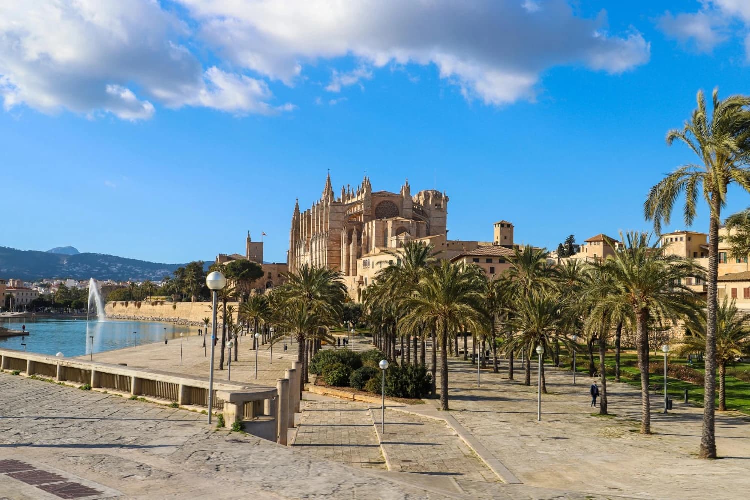 mallorca palma de mallorca gótikus katedrális pálmafák