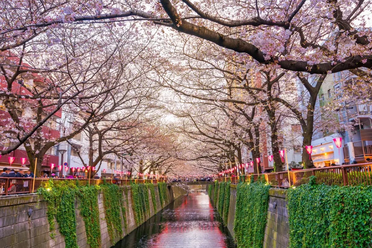 Japán